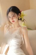 据最新景象形象材料阐发